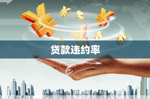 陇南贷款违约率