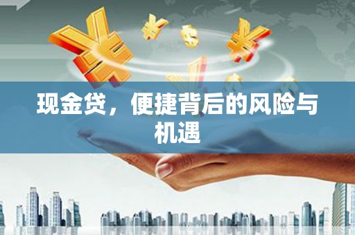 陇南现金贷，便捷背后的风险与机遇