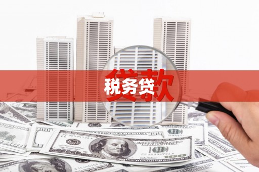 陇南税务贷