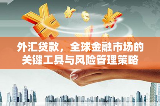 陇南外汇贷款，全球金融市场的关键工具与风险管理策略