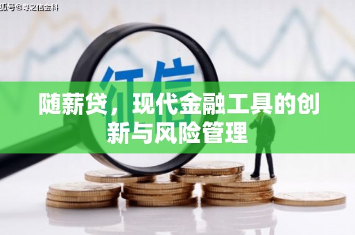 陇南随薪贷，现代金融工具的创新与风险管理