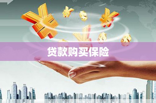 陇南贷款购买保险