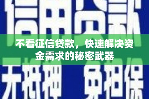 陇南不看征信贷款，快速解决资金需求的秘密武器