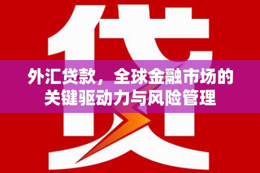 陇南外汇贷款，全球金融市场的关键驱动力与风险管理