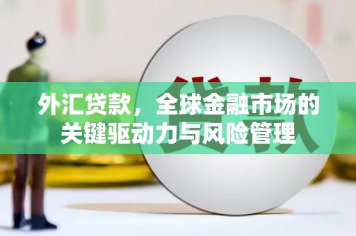 陇南外汇贷款，全球金融市场的关键驱动力与风险管理