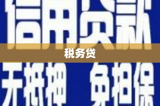 陇南税务贷