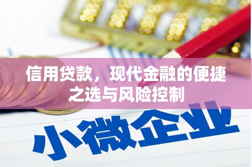陇南信用贷款，现代金融的便捷之选与风险控制