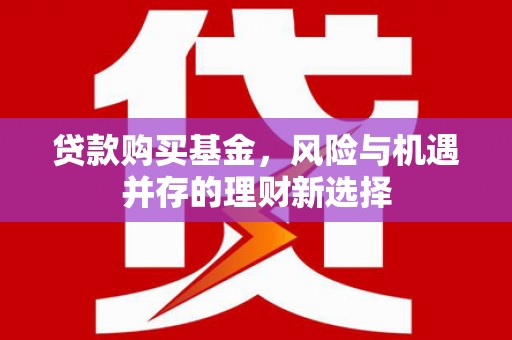 陇南贷款购买基金，风险与机遇并存的理财新选择
