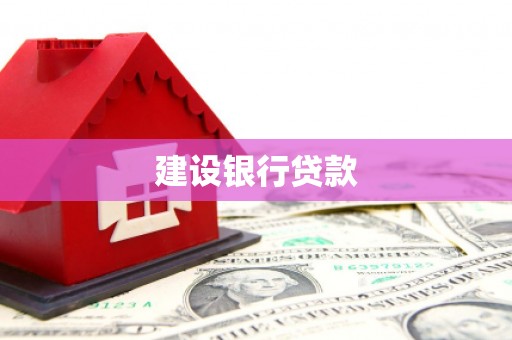 陇南建设银行贷款
