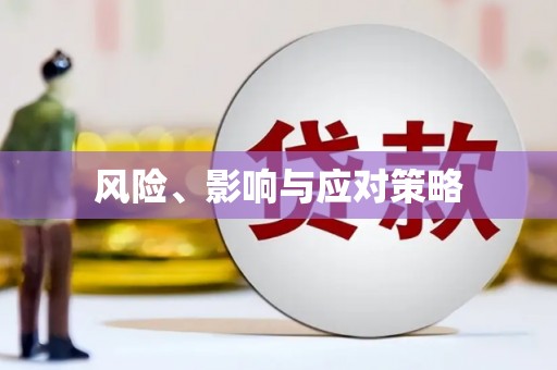 陇南风险、影响与应对策略