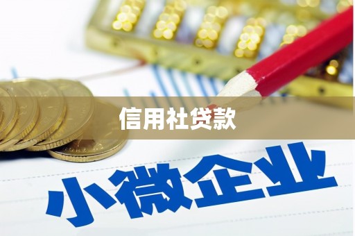 陇南信用社贷款