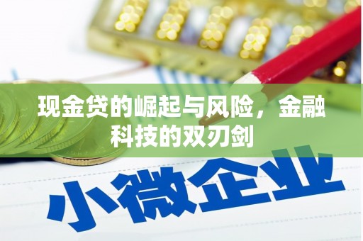 陇南现金贷的崛起与风险，金融科技的双刃剑
