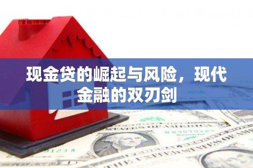 陇南现金贷的崛起与风险，现代金融的双刃剑