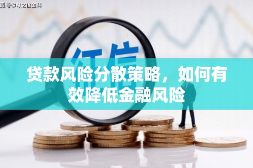 陇南贷款风险分散策略，如何有效降低金融风险