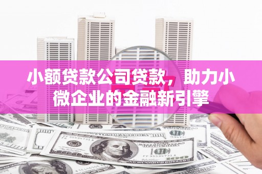 陇南小额贷款公司贷款，助力小微企业的金融新引擎