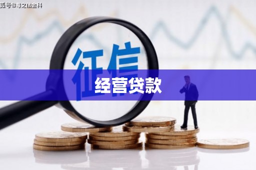 陇南经营贷款