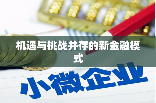 陇南机遇与挑战并存的新金融模式