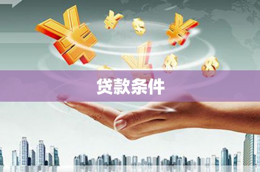 陇南贷款条件
