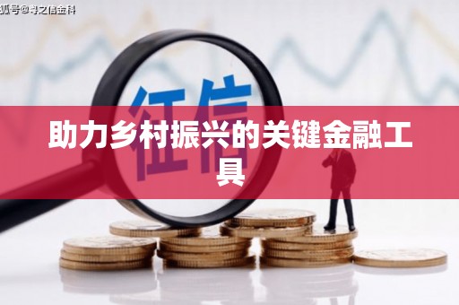 陇南助力乡村振兴的关键金融工具