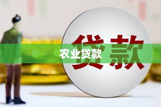 陇南农业贷款