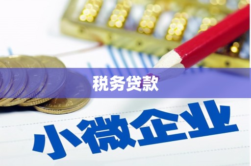 陇南税务贷款