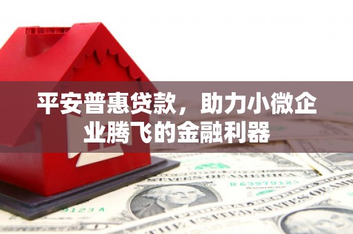 陇南平安普惠贷款，助力小微企业腾飞的金融利器