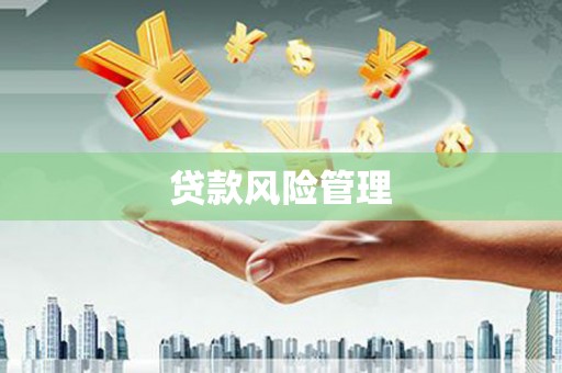 陇南贷款风险管理