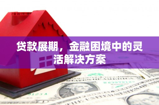 陇南贷款展期，金融困境中的灵活解决方案