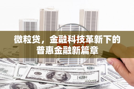 陇南微粒贷，金融科技革新下的普惠金融新篇章