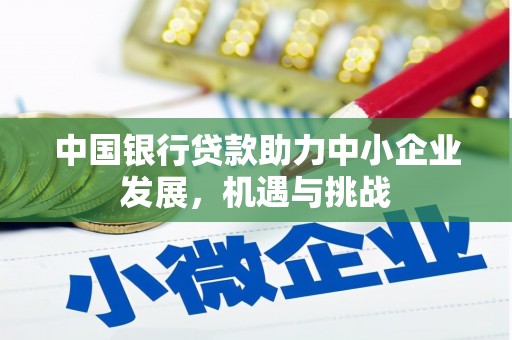 陇南中国银行贷款助力中小企业发展，机遇与挑战