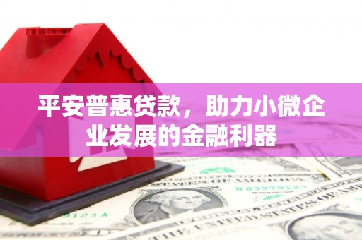 陇南平安普惠贷款，助力小微企业发展的金融利器