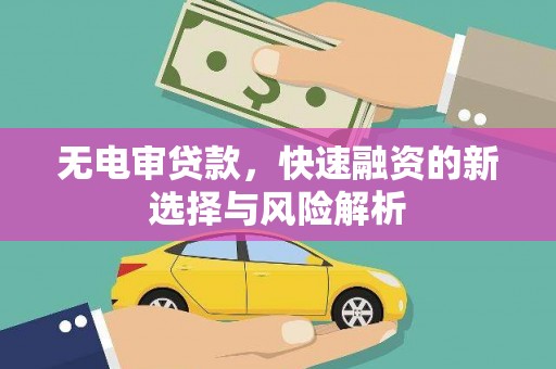 陇南无电审贷款，快速融资的新选择与风险解析