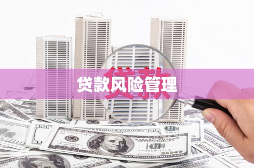 陇南贷款风险管理