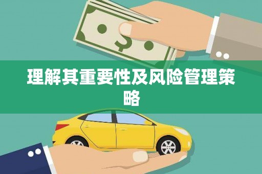 陇南理解其重要性及风险管理策略