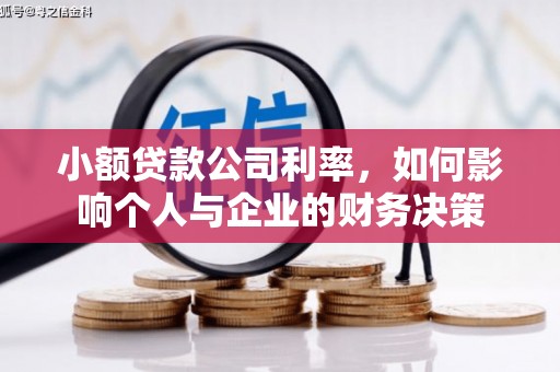 陇南小额贷款公司利率，如何影响个人与企业的财务决策