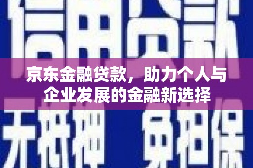 陇南京东金融贷款，助力个人与企业发展的金融新选择