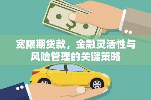陇南宽限期贷款，金融灵活性与风险管理的关键策略
