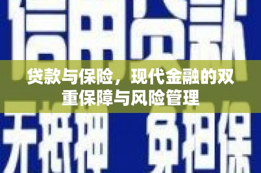 陇南贷款与保险，现代金融的双重保障与风险管理