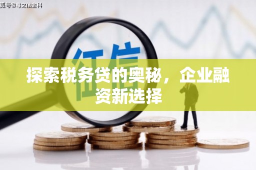 陇南探索税务贷的奥秘，企业融资新选择