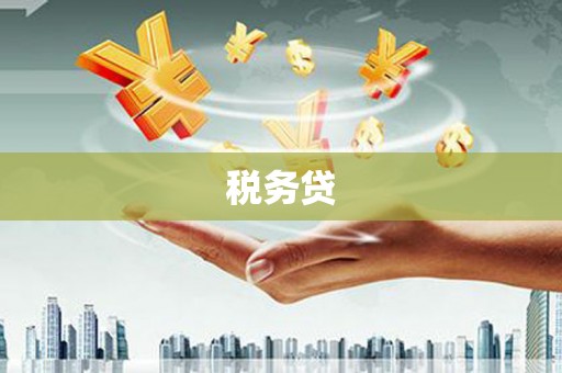 陇南税务贷