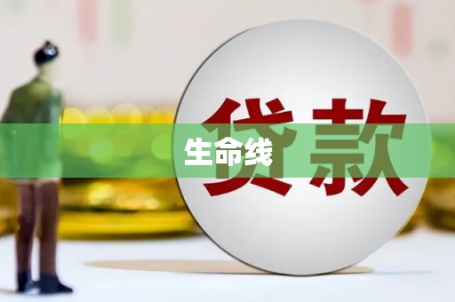 陇南生命线