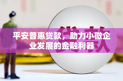 陇南平安普惠贷款，助力小微企业发展的金融利器