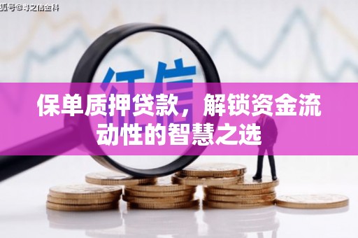 陇南保单质押贷款，解锁资金流动性的智慧之选