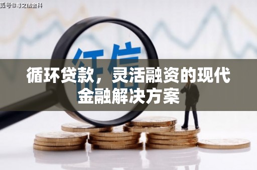 陇南循环贷款，灵活融资的现代金融解决方案