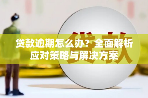 陇南贷款逾期怎么办？全面解析应对策略与解决方案