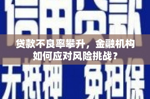 陇南贷款不良率攀升，金融机构如何应对风险挑战？