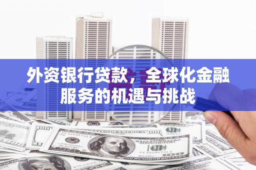 陇南外资银行贷款，全球化金融服务的机遇与挑战