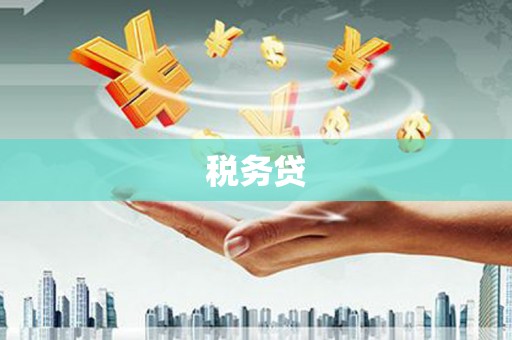 陇南税务贷