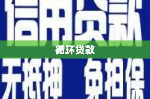 陇南循环贷款