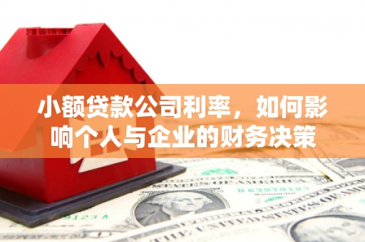 陇南小额贷款公司利率，如何影响个人与企业的财务决策